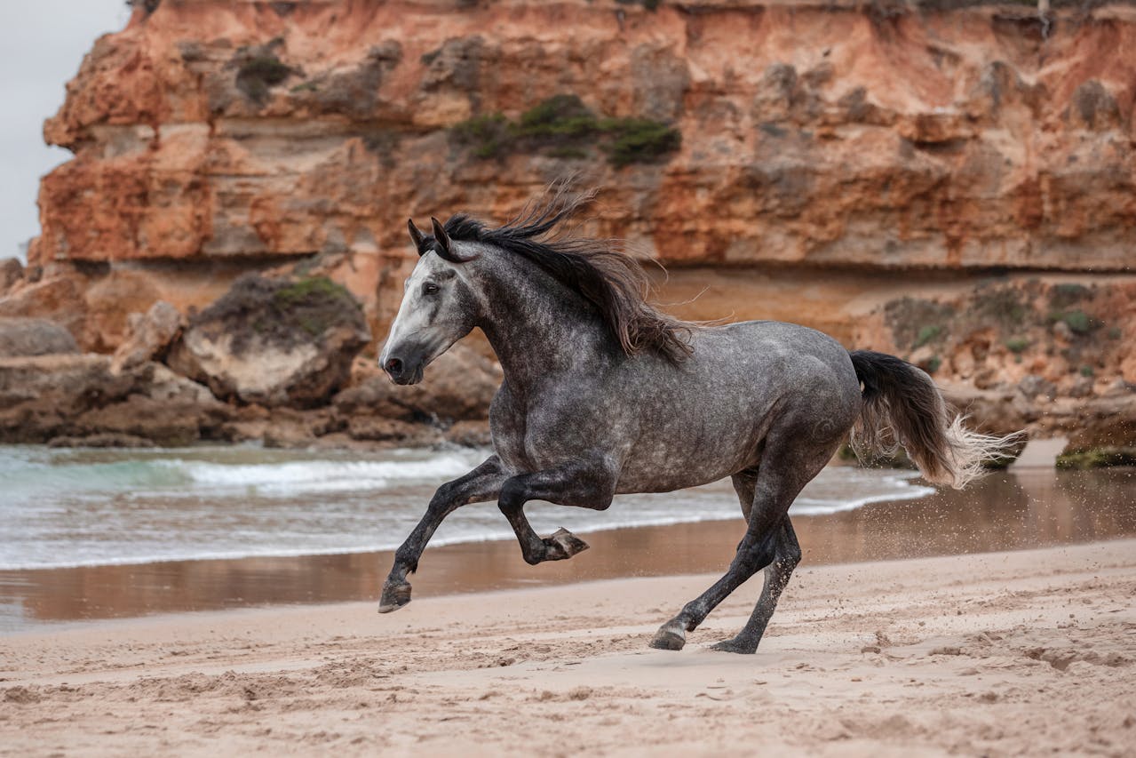 CC to Horsepower Conversion Calculator | Calculate CC to Horsepower Accurately 1 Horsepower